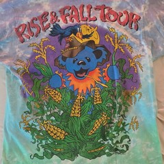 Vintage 1993 Liquid Blue Grateful Dead Rise & Fall Tour Tie-Dye T-Shirt Size L