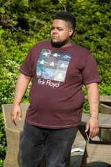 D555 Duke Big Mens Pink Floyd Printed T-Shirt Licensed Product 2XL-6XL (601621)