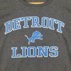 Detroit Lions T-Shirt Mens Large Gray Long Sleeve Graphic Tee NFL Team Apparel
