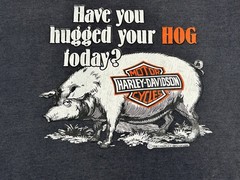 VTG 80’s Harley Davidson T-Shirt Have You Hugged Your Hog Today Sz M 2 Sided