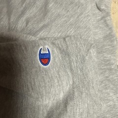 Mens Medium Champion T shirt Soft Feel Grey