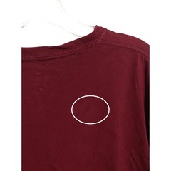 Hollister Burgundy Crew Neck Shirt Mens XXL Embroidered Logo Classic Preppy Y2K