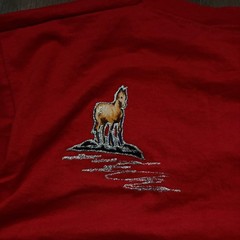 Scottsdale Images Red Native American Applique Handpainted Graphic T-Shirt Mens