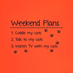 Weekend Plans With My Cat – Mens T-Shirt – Cats Love Funny Lady Kitten Crazy