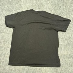Vintage Delta Mens T-Shirt Size XL Black Michigan Rocks! Pre-Shrunk