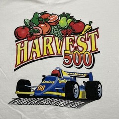 Vintage Indy Car Race Shirt Mens Large SamSons Racing Harvest 500 1998 90s