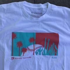 Routine Men Large Short Sleeve Shirt White Baseball Spring Training Fl AZ
