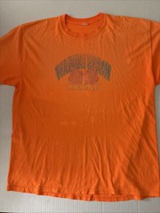 Vintage Waikiki Beach Hawaii Graphic T Shirt Men’s XL Surf Faded Spots No Tag