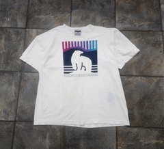 Vintage 90s University Of Alaska Fairbanks Men’s XL Nanooks Oneita T Shirt