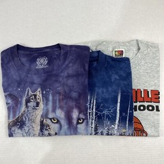 Wholesale Lot of 30 Modern/Vintage Mix Short Sleeve Tee Shirts (Sizes In Desc)