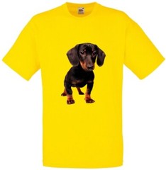 Dachshund Dog Pet Friend Family Novelty T Shirt Various Colours And Sizes