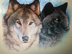 NEW T-Shirt: 2 Wolves (Lots of Colors & Sizes)