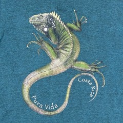 VTG Costa Rica TShirt Men XL Teal Iguana Pura Vida Animal Nature Reptiles Beach