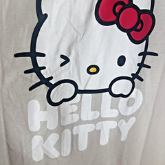 Hello Kitty & Frends T-Shirt Sanrio Unisex Large Tee Tan NWOT 2024 Cartoon BxK