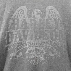 Harley Davidson Shirt Adult 2XL XXL Gray Motorcycle Eagle Birmingham AL Men’s