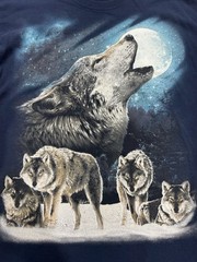 Gildan Heavy Cotton Large Wolf Nature Tee Wolf Pack Howling Moon Winter Wolf