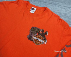 Harley Davidson I RODE THE DRAGON L Smoky Mtn Long Sleeve T Orange Rare 07 US129