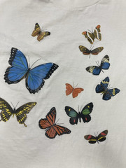 VINTAGE The Butterfly Farm Costa Rica T-shirt Men Large 90s Single Stitch