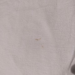 St. Maarten N.A F.W.I. Sun Palm Tree Caribbeant’s Cotton T-Shirt Sz XL – Stains