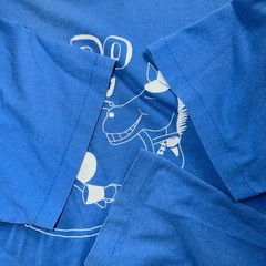 Waldo VTG Band Oregon 90s Horse Animals Donkey Running Track 1990s Funny Cute