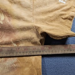 The Mountain Tiger Shirt Bengal Tiger Big Cat Animal Graphic Tee Size Medium