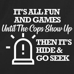 Unisex Black Half Sleeves Cotton “It’s All Fun and Games Until” Funny T Shirt