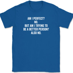 Am I Perfect No T-Shirt Tee Funny Sarcastic Humor Novelty Gift