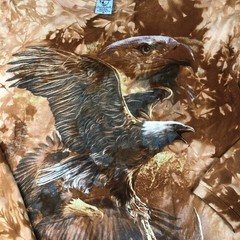 Back to Earth Mens XL Tie Dye Long Sleeve Eagle T Shirt Vintage USA 90’s Y2K