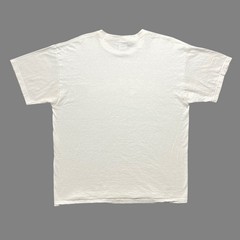 Vintage Fruit Of The Loom Bar Harbor Maine Dolphin Shirt XL Nature Graphic Tee