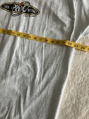 Got Pride Odyssey 2001 T-Shirt Out And Proud LGBTQ Michigan Gray XXL 2XL FOTL