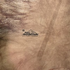The Mountain Spirit Bear Graphic T-Shirt Mens sz XL Brown 2013 Christy Grandjean