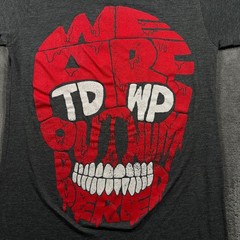 Tultex T-Shirt Mens Small Gray Skull The Devil Wears Prada We Are Outnumbered