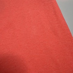 Great Smoky Mountains Tennessee Unisex T-Shirt, Bright Neon Orange/Coral, Size L
