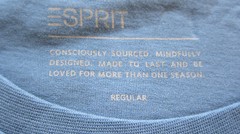 Esprit Mens T-Shirt 3XL, 4XL, 5XL Turquoise, Dove Blue, Cotton, Cotton