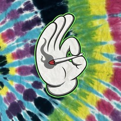 Colortone Tie Dye T Shirt Mens 2XL Multicolor Doobie Joint Graphic