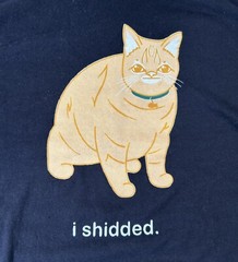 NextLevel I Shidded Turuncu Cat Meme Retro Shirt Adult Large L TShirt Black