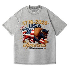 Patriotic 250th Anniversary Buffalo Washed T-Shirt – 1776-2026 USA Tee