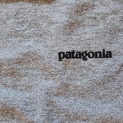 Patagonia Men’s L Gray Long Sleeve Crew Neck Graphic Logo T-Shirt