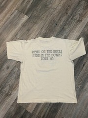 Grateful Dead Dead on the Rocks High in the Downs Colorado T-Shirt Mens L 1983