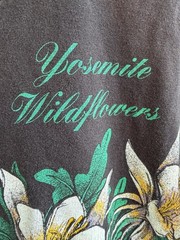 Vtg Nature Yosemite National Park 90s wild flowers AOP mens L