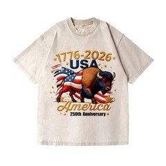 Patriotic 250th Anniversary Buffalo Washed T-Shirt – 1776-2026 USA Tee
