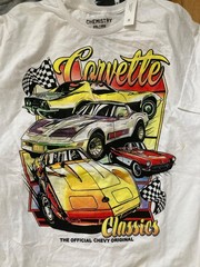 Lot Of (15) T-Shirts Bundle Variety Graphic prints Lg – XLG Y2K Modern