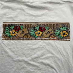 Vintager Hawaii Kauai Shirt Mens Medium Long Sleeve Hit Souvenir Made USA 90s