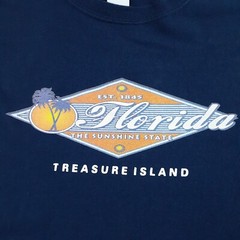 Gildan T Shirt Mens Extra Large Blue Tee Florida Sunshine State Treasure Island