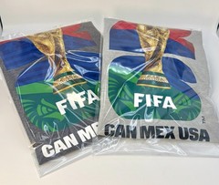 FIFA Official Licensed 2 Pack T-Shirts World Cup Trophy Graphic Gray