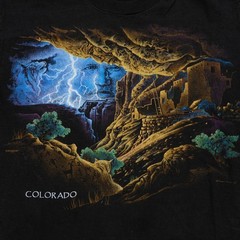 Rare VTG MOUNTAIN MEADOWS Colorado Native Spirit Nature Art T Shirt 90s Black L