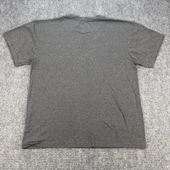 Oakland Raiders T Shirt Mens Large Gray NFL Team Apparel Logo Short Sleeve Tee