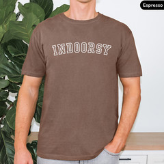 Indoor Vibes Tee Unisex Comfort Colors Tshirt Cozy Funny Comfy Shirt Lounge Wear