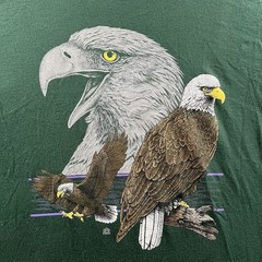 Vintage Eagle Shirt Mens XL Green 90s Nature Rap Tee Bald Eagle JERZEES Grunge