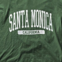 Santa Monica Beach California Souvenir Aesthetic, Vintage